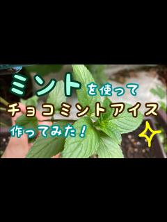 [x]ミントを使ってチョコミントアイスクリームを作ってみた！ - YouTube