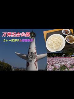 [x]大阪万博記念公園 カレーEXPO 〜 日本庭園散策 - YouTube