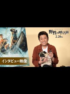 [x]映画『野性の呼び声』特別映像 【坂上忍さんインタビュー】2月28日（金）公開 - YouTube