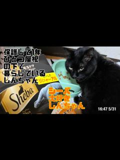 [x]サボテンの花〜ひとつ屋根の下〜主題歌 - YouTube