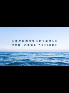 [x]生殖幹細胞操作技術を駆使した世界唯一の養殖魚「カイジ」の創出 - YouTube
