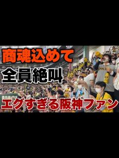 [x]【甲子園超え】声出し禁止から解放された阪神ファンによる史上最強の商魂込めて＆くたばれ読売が全員絶叫してて治安悪すぎたw 【in東京ドーム ...