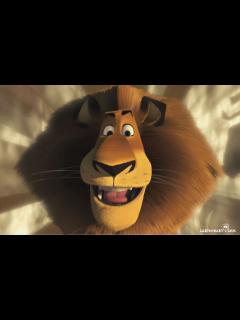 [x]Alex Wallpaper - Alex the Lion Wallpaper (24491239) - Fanpop