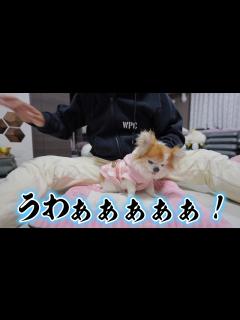 [x]全く想像していない事が起きて気が動転しちゃいました！ - YouTube