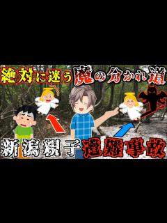 [x]遭難不可避。絶対に迷う分かれ道で6歳の子供に起きた悲劇【ゆっくり解説】【2018年 新潟親子遭難事故】 - YouTube