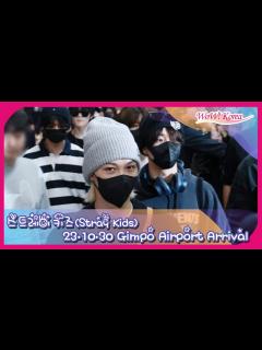 [x]Stray Kids、数多くのファンの間でちらっと見えるメンバーたち···「日本に行ってきました~」 - YouTube