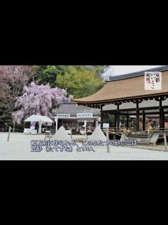 [x]上賀茂神社 / Kamigamo Shrine / 京都いいとこ動画 - YouTube