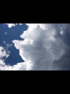 [x]フリー写真画像: 夏、自然、青い空、風景、雰囲気、クラウド、ツリー