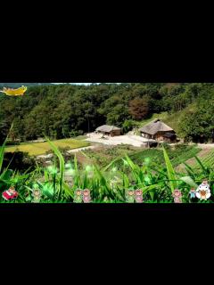 [x]🍓 ザ！鉄腕！DASH！DASH村テーマ曲(TOKIO)「DASH VILLAGE」HiyokoHouse - YouTube