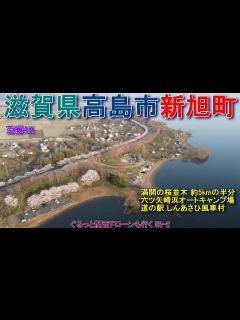 [x]滋賀県高島市新旭町 動画中の約5㎞は間違い 約6㎞もある満開の桜並木 六ツ矢崎浜オートキャンプ場 道の駅しんあさひ風車村 【DJI Mini2 ...