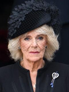 [x]意味深なモチーフに注目。カミラ王妃の“ブローチ愛”を知る、ゴージャスな必見コレクション19選