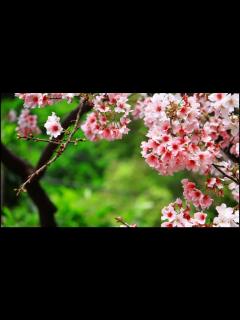 [x]川島あい「旅立ちの日に」超高音質 - YouTube