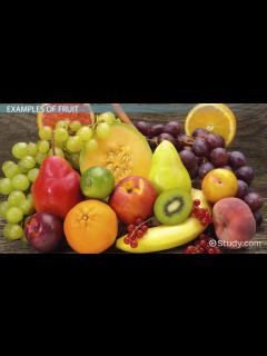 [x]Fruits | Definition, Types & Examples - Lesson | Study.com