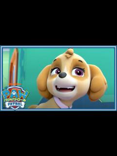 [x]パウ・パトロール しゅつどう！ - YouTube