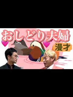[x]593日目 おしどり夫婦【アーネスト 漫才】 - YouTube