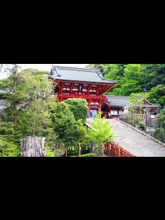 [x]鶴岡八幡宮：将軍・実朝暗殺の衝撃、源家断絶し公武対立へ（10） | nippon.com