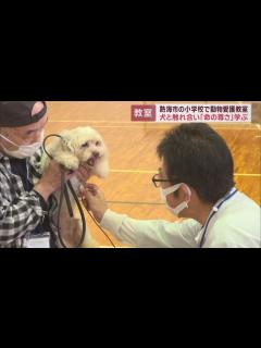 [x]犬の心音を聞いて「命の尊さ」学ぶ 静岡・熱海市 伊豆山小学校 - YouTube