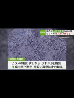 [x]都内初 寄生虫“クドア”が原因の食中毒/First case of food poisoning caused by Kudoa ...
