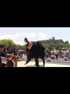 [x]新・もみさんぽ 第74回丸亀お城まつり（獅子舞競演）【香川県丸亀市】（令和5年・2023） - YouTube