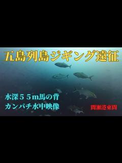 [x]五島列島ジギング遠征【水深55m馬の背カンパチ水中映像】間瀬港東間 - YouTube