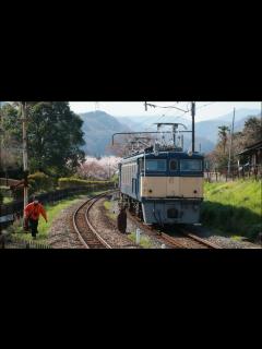 [x]【桜咲く碓氷峠鉄道文化村】安中市 2024 04012 Guitar by K.Okabe すきま風（遠藤 実作曲） - YouTube