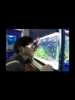 [x]映画『アンダー・ユア・ベッド』予告編／7月19日（金）公開 - YouTube