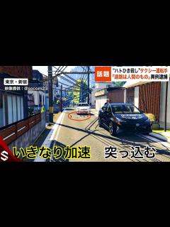 [x]“ハトひき殺し”タクシー運転手逮捕「道路は人間のもの」…国民は逮捕恐れブレーキ強化が流行へ【GTA5