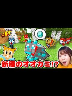 [x]なにこのオオカミ!?😱 ️新種のオオカミ10匹捕まえるまで終われませんやってみたら…【マインクラフト