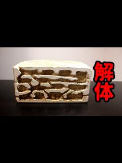 [x]【アリの飼育記2冊目#28】3年使ったアリの巣を解体してみた結果 - YouTube