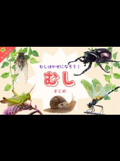 [x]虫について知ろう!!総まとめ!!〜むし博士になろうシリーズ〜3歳/4歳/5歳/6歳/ - YouTube