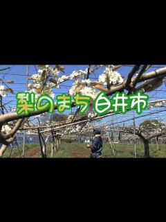 [x]白井市の魅力を1分でPR！ - YouTube