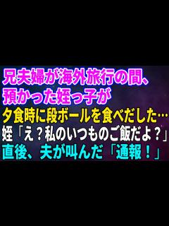 [x]【スカッとする話】兄夫婦の海外旅行の間、預かった姪っ子が夕食時に段ボールを食べだした…問いただすと姪「え？私のいつものご飯だよ？」直後、夫が ...