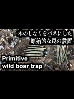 [x]-狩猟-【原始的で伝統的な罠を設置する】-台湾より伝わる経済的な跳ね上げ式くくり罠-01/2020 - YouTube