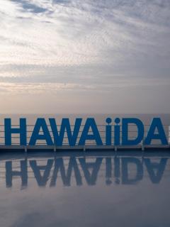 [x][안산] 대부도 오션뷰 카페 하와이다 : 방아머리해수욕장 앞 당일치기 놀만한곳 : 네이버 블로그